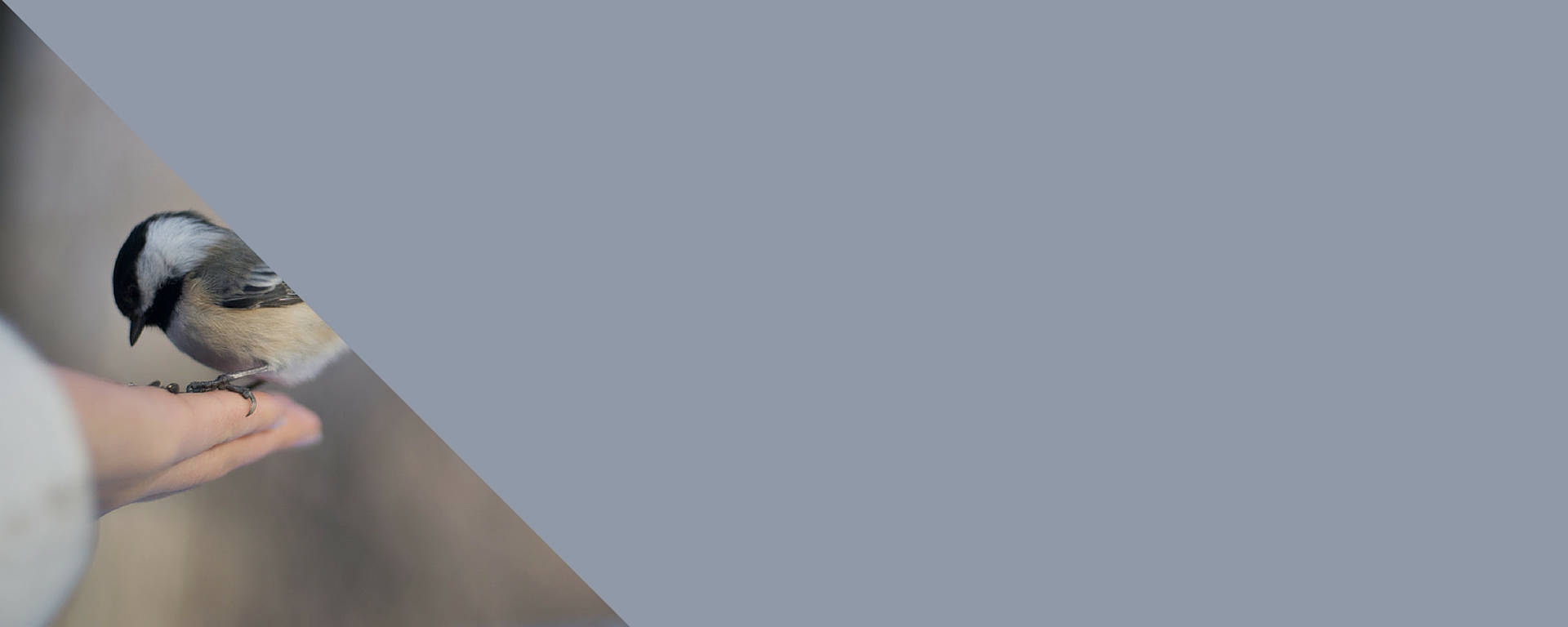 Boost Brand Loyalty - Blue Header (1)