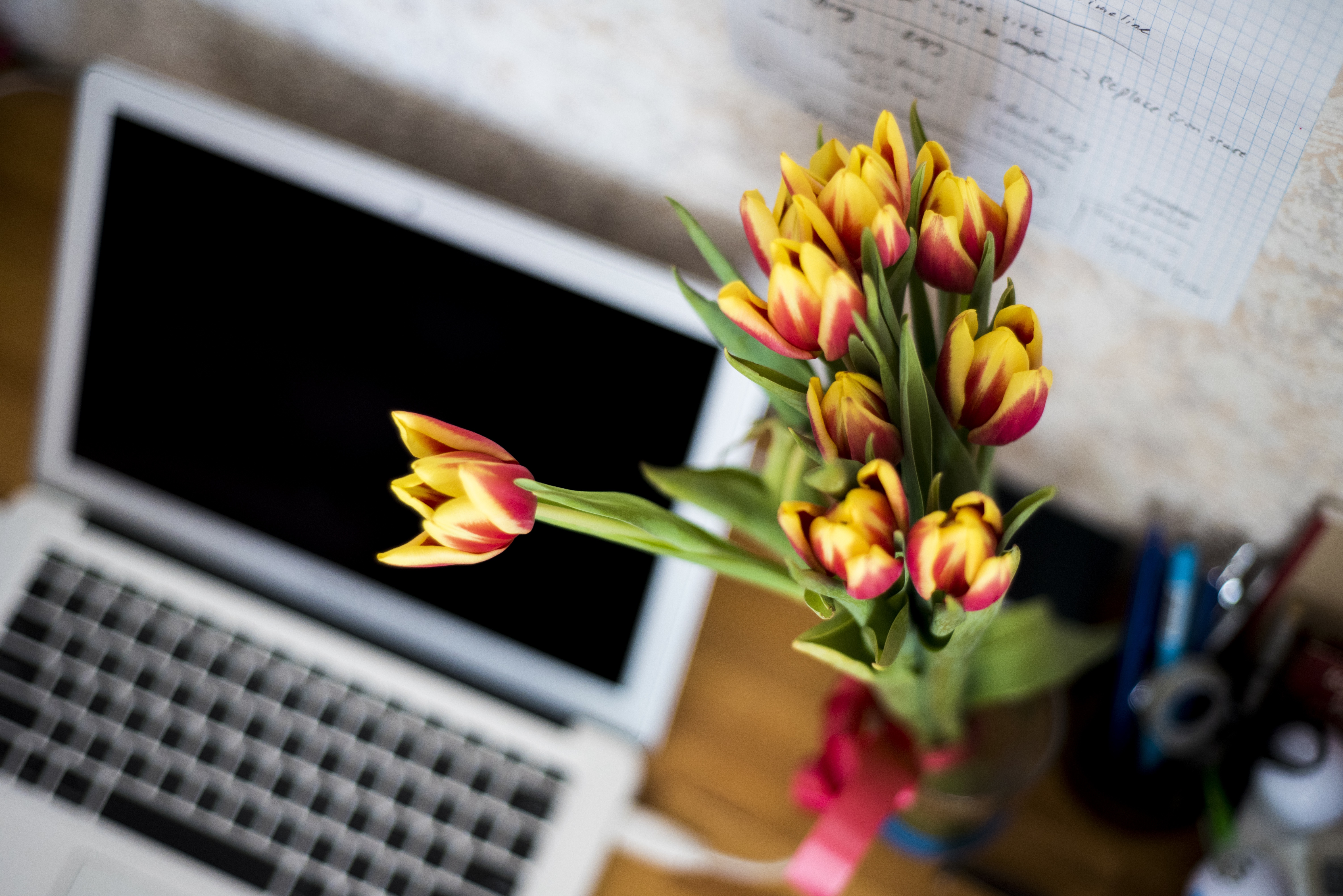 Is a Blog Better for My Business Than Social Media? | Eleanor Snare